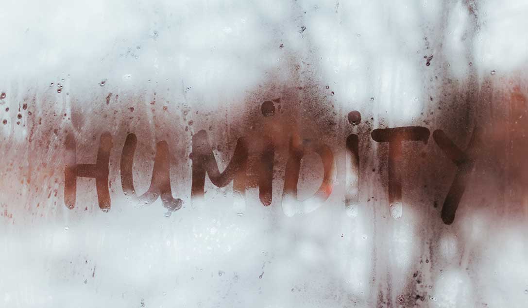 L’origine delle muffe: concetti e metodi di verifica
