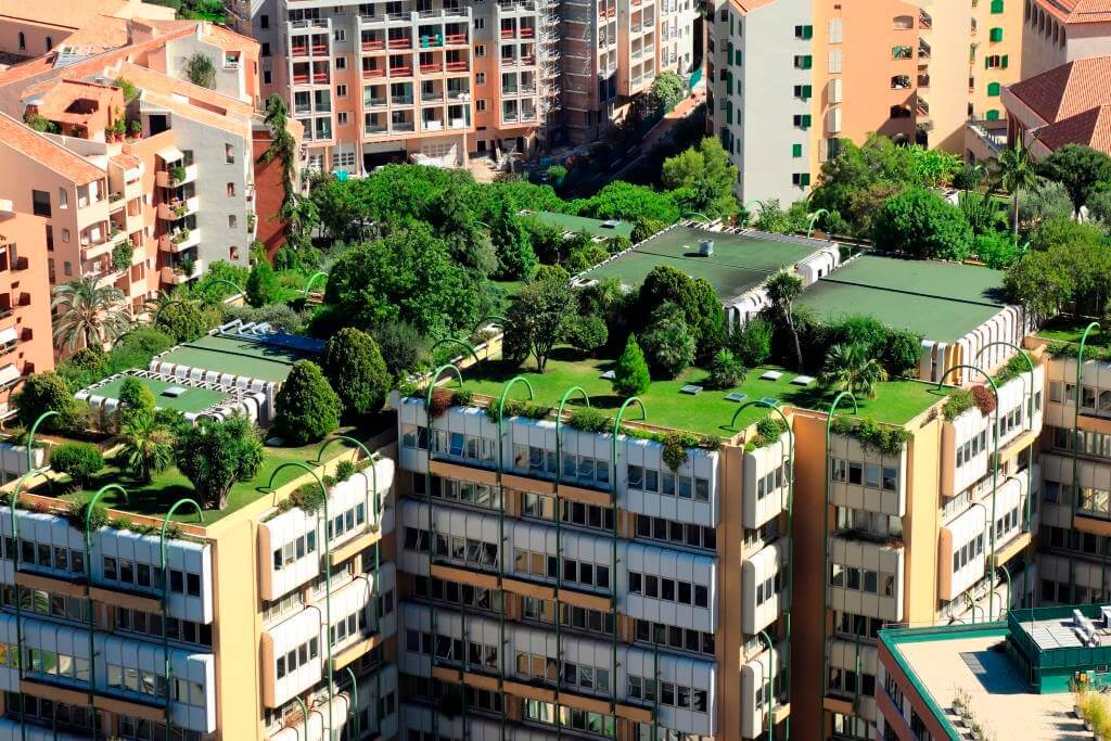 Il tetto verde: misure della efficacia e della efficienza